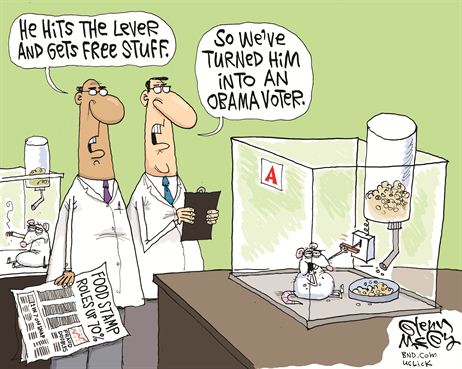 obama-voter-cartoon.jpg